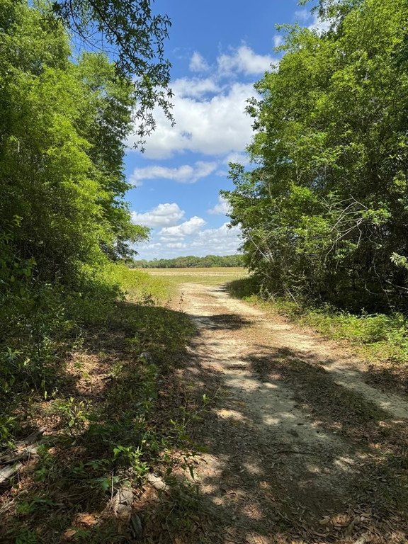 Donalsonville, Georgia, 39845, United States, ,Commercial,Forsale,1946735