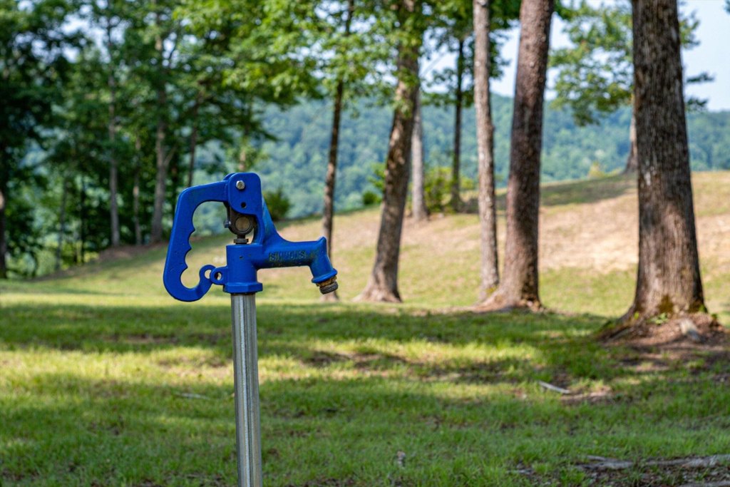 Spencer, Tennessee, 38585, United States, 1 Bedroom Bedrooms, ,1 BathroomBathrooms,Residential,Forsale,1922178