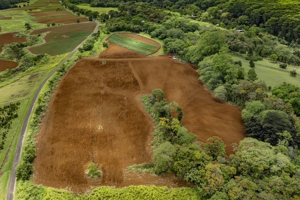 Hilo, Hawaii, 96720, United States, 2 Bedrooms Bedrooms, ,2 BathroomsBathrooms,Residential,Forsale,1929309