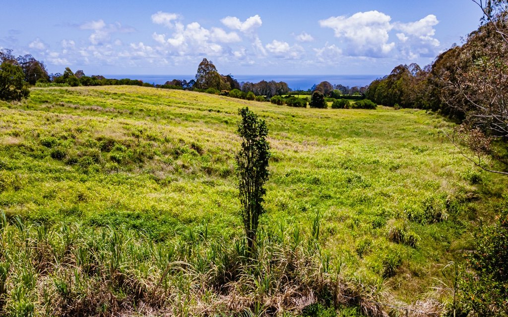 Pepeekeo, Hawaii, 96783, United States, ,Residential,Forsale,1989843