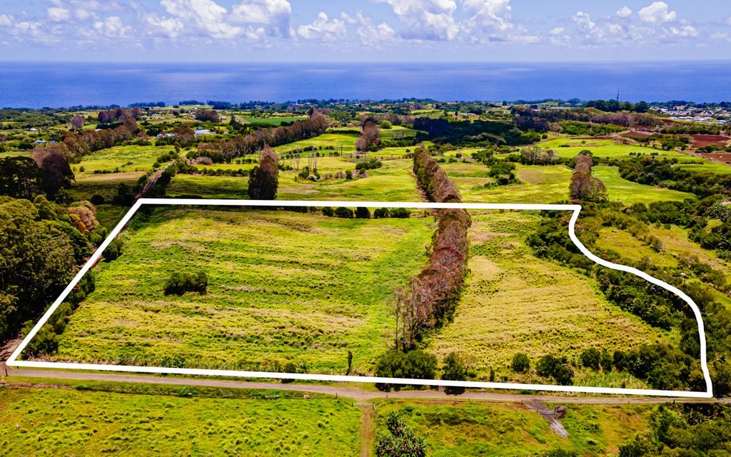 Pepeekeo, Hawaii, 96783, United States, ,Residential,Forsale,1989843