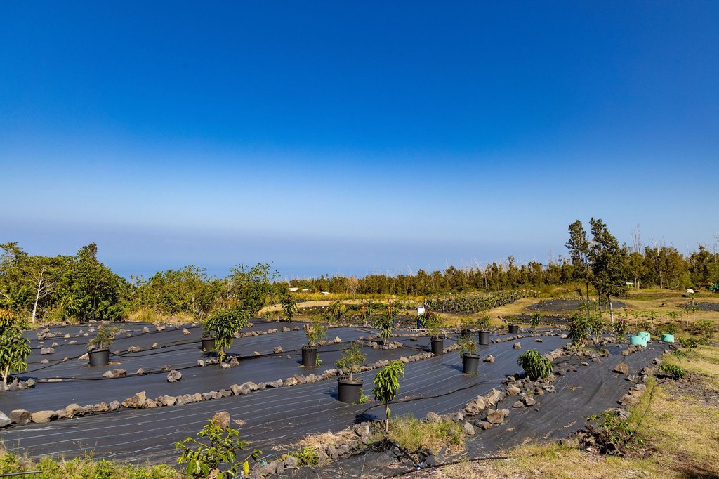 Captain Cook, Hawaii, 96704, United States, ,Land,Forsale,1886666