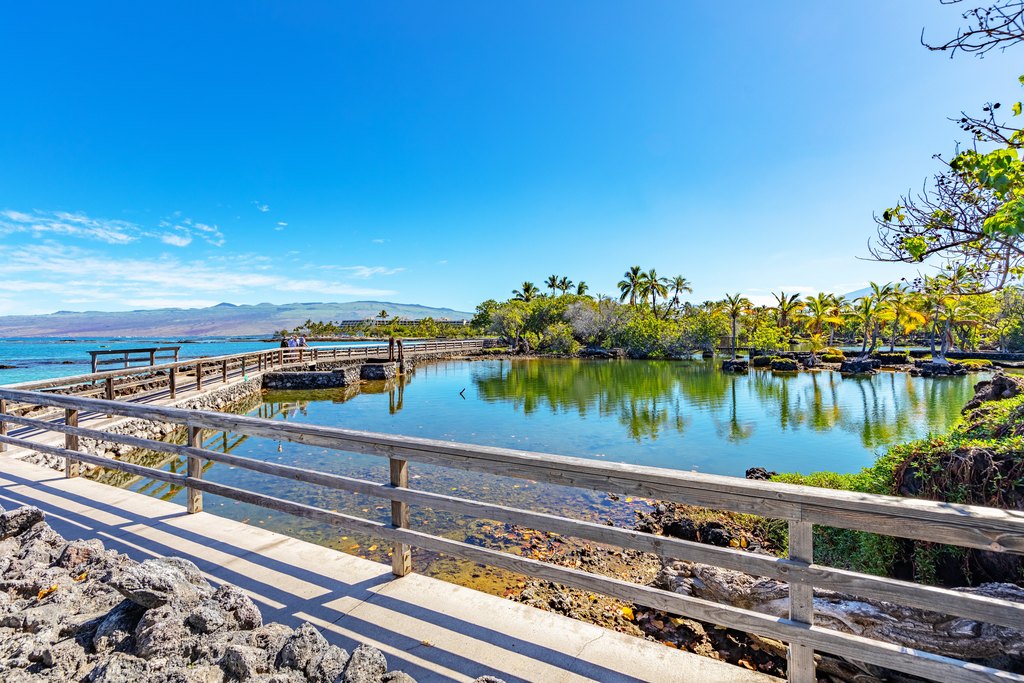 Kamuela, Hawaii, 96743, United States, ,Land,Forsale,1886658