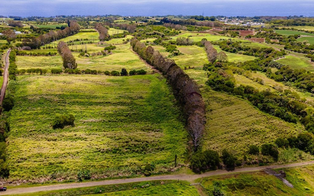 Pepeekeo, Hawaii, 96783, United States, ,Residential,Forsale,1989843