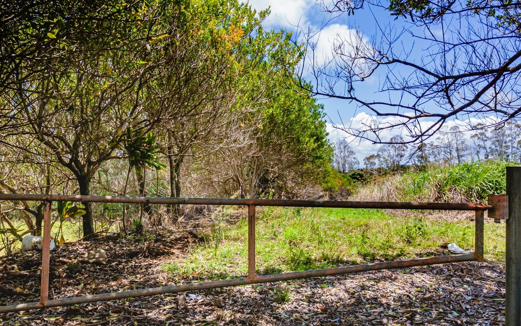 Pepeekeo, Hawaii, 96783, United States, ,Residential,Forsale,1989843