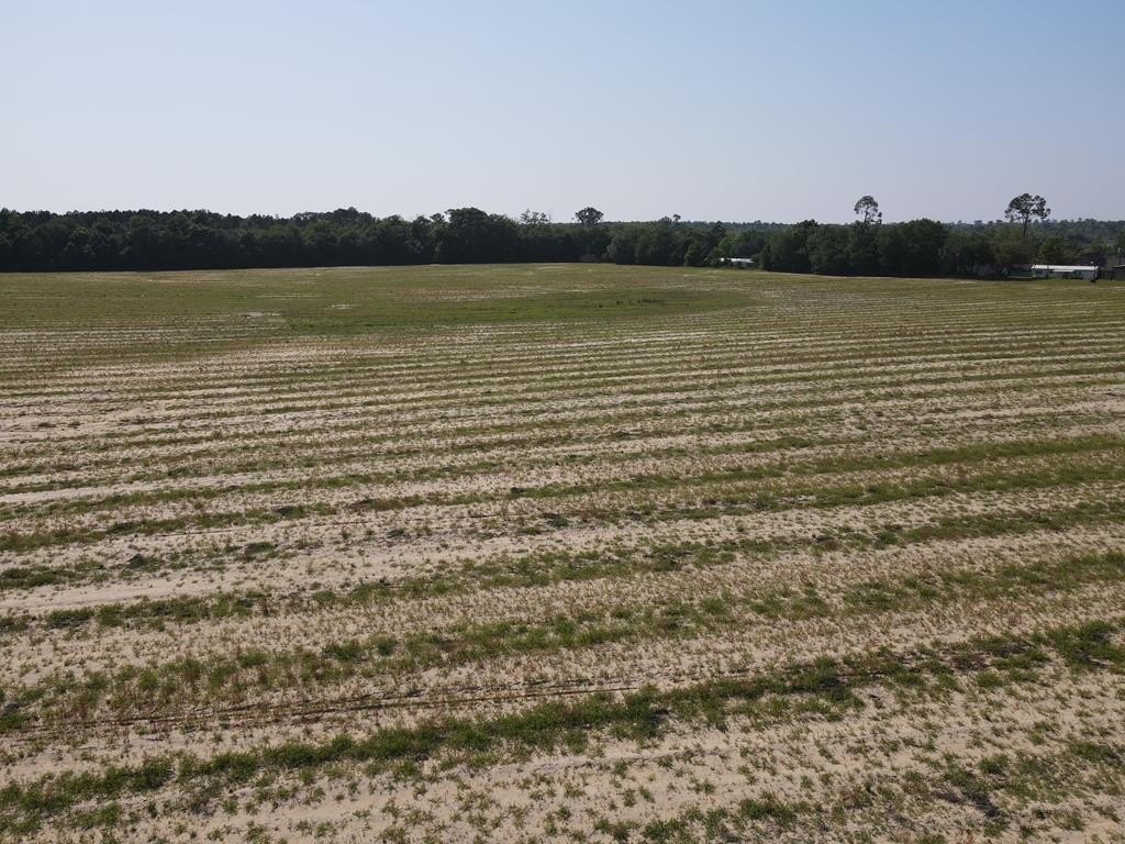 Donalsonville, Georgia, 39845, United States, ,Commercial,Forsale,1946735