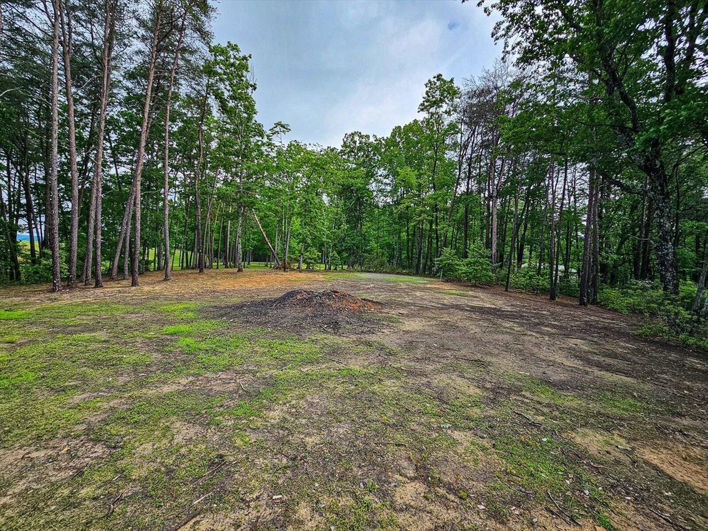 Spencer, Tennessee, 38585, United States, 1 Bedroom Bedrooms, ,1 BathroomBathrooms,Residential,Forsale,1922178