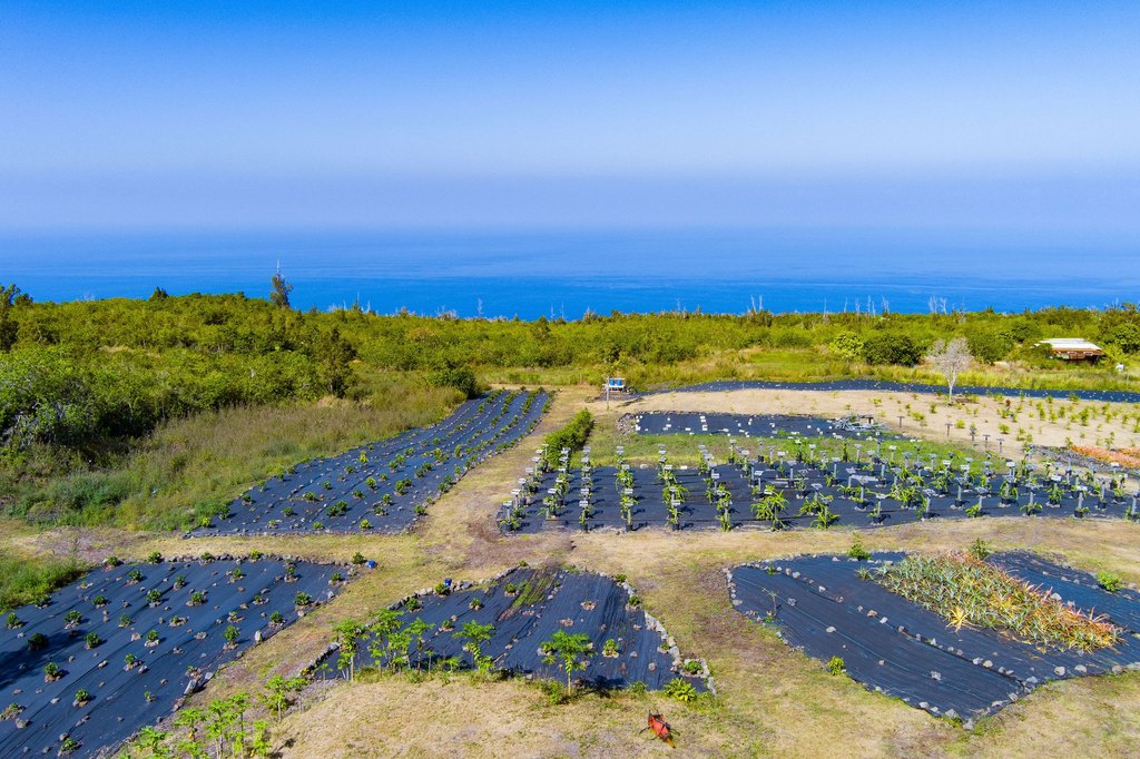 Captain Cook, Hawaii, 96704, United States, ,Land,Forsale,1886666