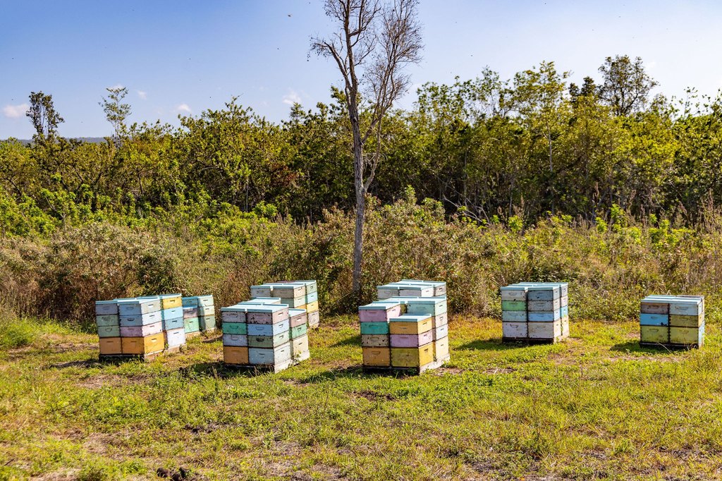 Captain Cook, Hawaii, 96704, United States, ,Land,Forsale,1886666