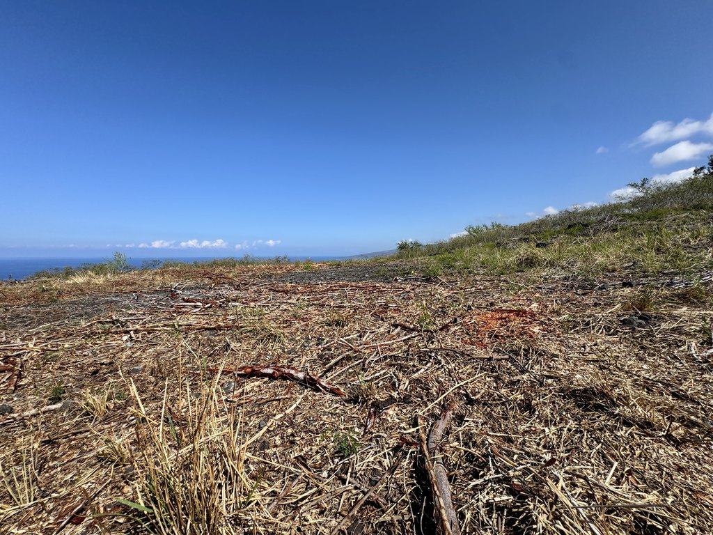 Captain Cook, Hawaii, 96704, United States, ,Land,Forsale,1886654