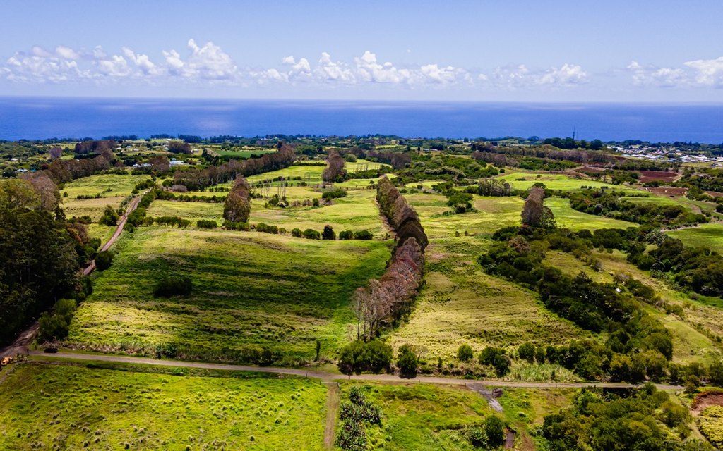 Pepeekeo, Hawaii, 96783, United States, ,Residential,Forsale,1989843