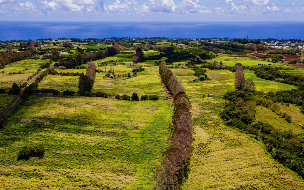 Pepeekeo, Hawaii, 96783, United States, ,Residential,Forsale,1989843