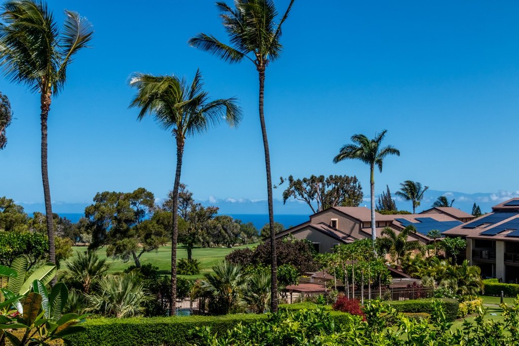 Waikoloa, Hawaii, 96738, United States, 2 Bedrooms Bedrooms, ,2 BathroomsBathrooms,Residential,Forsale,1886620