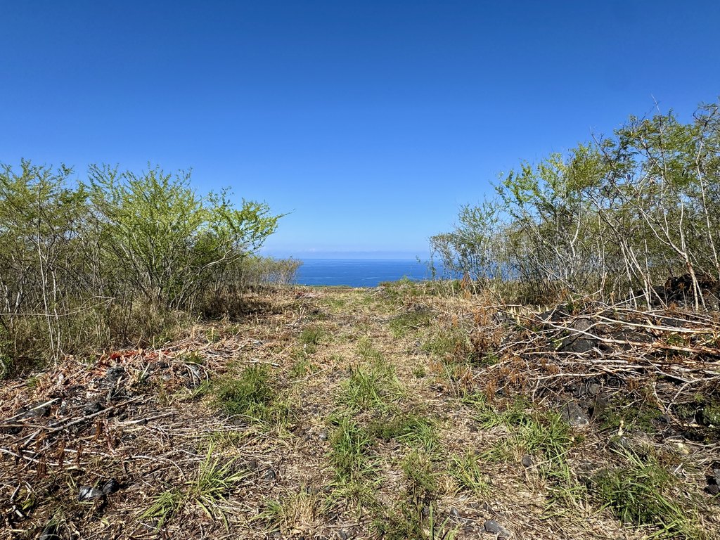 Captain Cook, Hawaii, 96704, United States, ,Land,Forsale,1886654