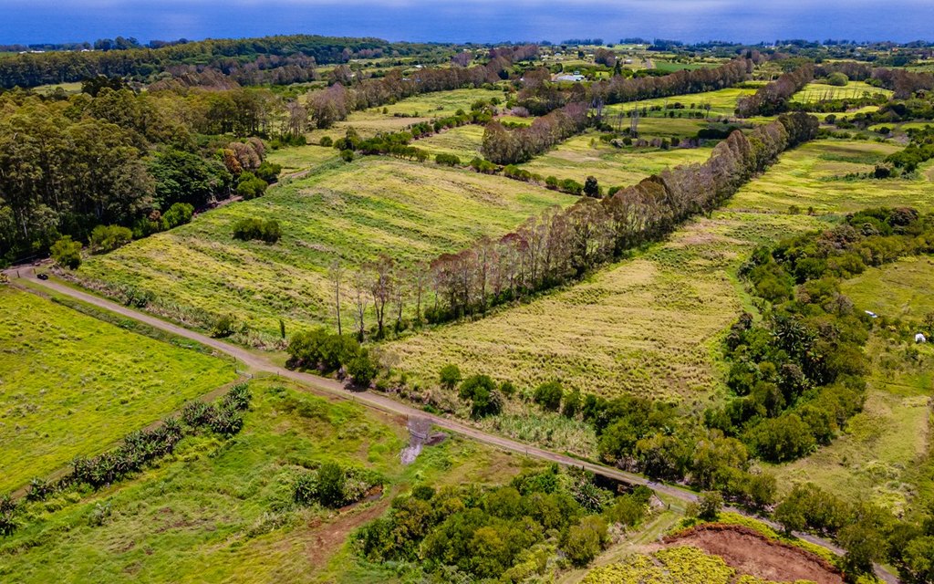 Pepeekeo, Hawaii, 96783, United States, ,Residential,Forsale,1989843