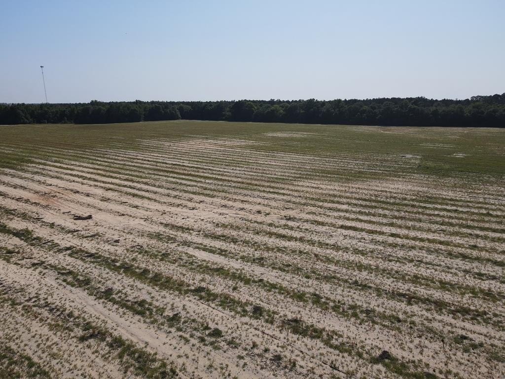 Donalsonville, Georgia, 39845, United States, ,Commercial,Forsale,1946735