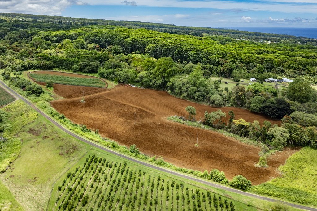 Hilo, Hawaii, 96720, United States, 2 Bedrooms Bedrooms, ,2 BathroomsBathrooms,Residential,Forsale,1929309