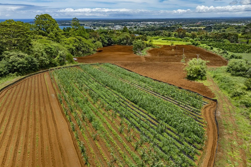 Hilo, Hawaii, 96720, United States, 2 Bedrooms Bedrooms, ,2 BathroomsBathrooms,Residential,Forsale,1929309