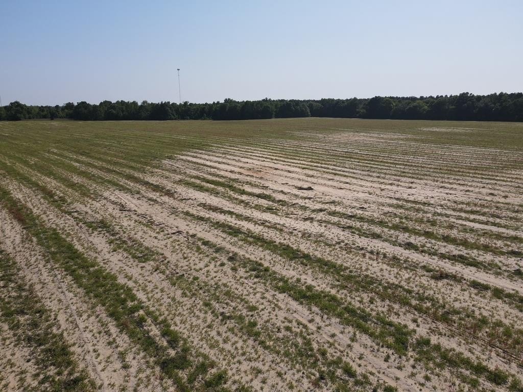 Donalsonville, Georgia, 39845, United States, ,Commercial,Forsale,1946735