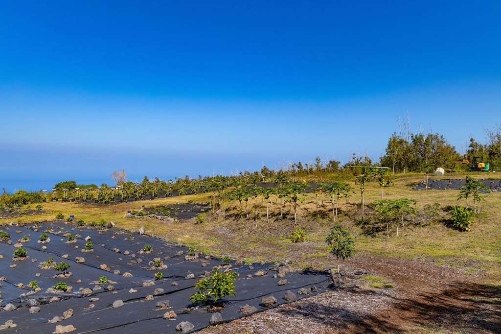 Captain Cook, Hawaii, 96704, United States, ,Land,Forsale,1886666