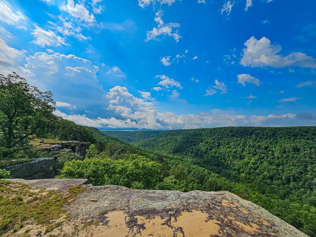 Spencer, Tennessee, 38585, United States, 1 Bedroom Bedrooms, ,1 BathroomBathrooms,Residential,Forsale,1922178