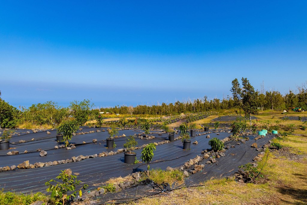 Captain Cook, Hawaii, 96704, United States, ,Land,Forsale,1886666