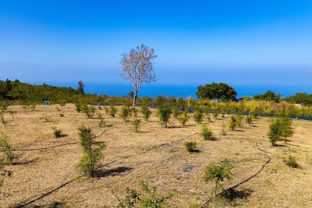 Captain Cook, Hawaii, 96704, United States, ,Land,Forsale,1886666