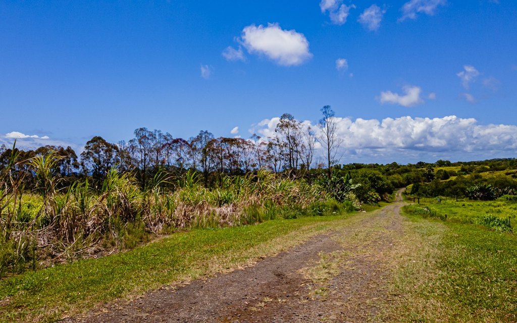 Pepeekeo, Hawaii, 96783, United States, ,Residential,Forsale,1989843