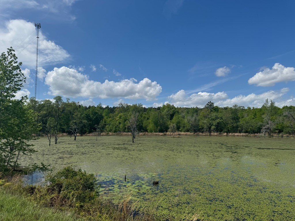 Donalsonville, Georgia, 39845, United States, ,Commercial,Forsale,1946735