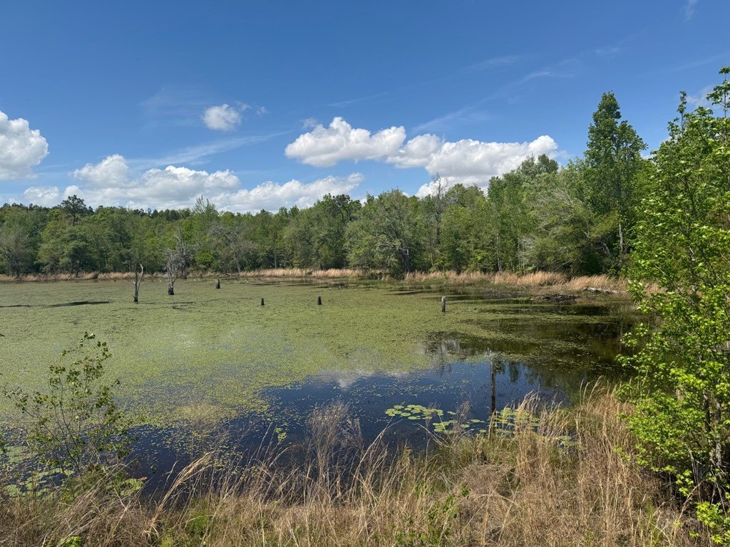 Donalsonville, Georgia, 39845, United States, ,Land,Forsale,1946738