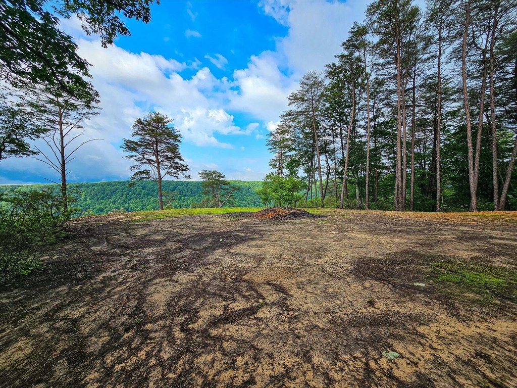 Spencer, Tennessee, 38585, United States, 1 Bedroom Bedrooms, ,1 BathroomBathrooms,Residential,Forsale,1922178