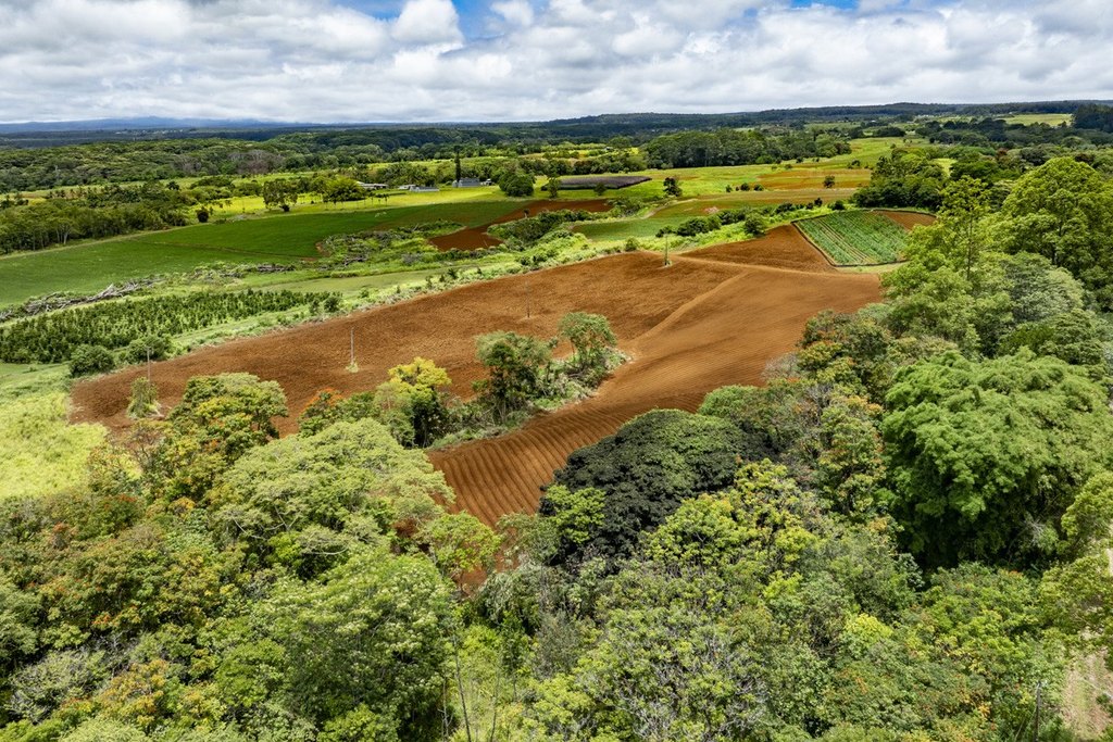 Hilo, Hawaii, 96720, United States, 2 Bedrooms Bedrooms, ,2 BathroomsBathrooms,Residential,Forsale,1929309