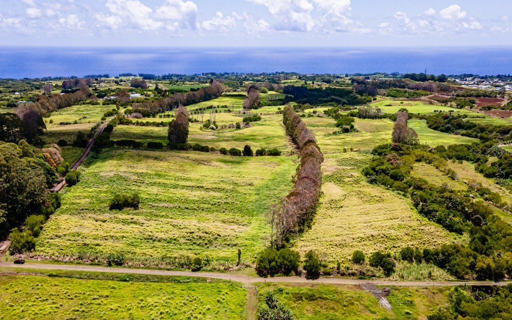 Pepeekeo, Hawaii, 96783, United States, ,Residential,Forsale,1989843