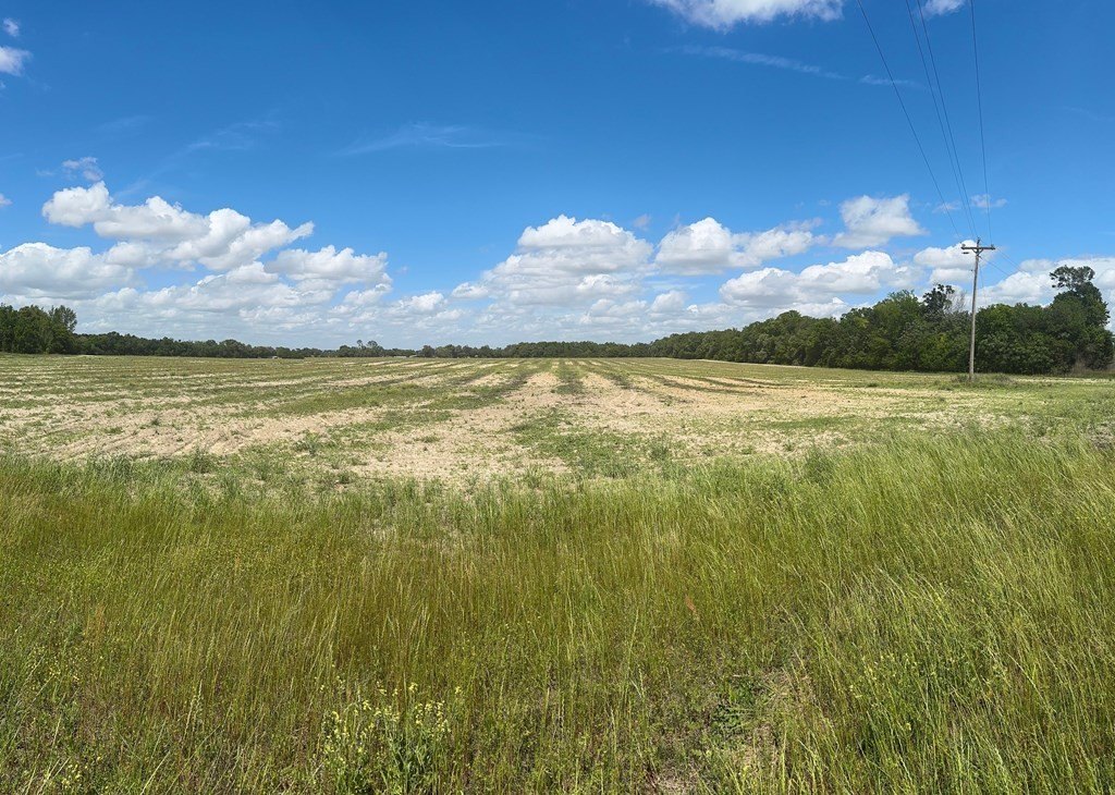 Donalsonville, Georgia, 39845, United States, ,Commercial,Forsale,1946735