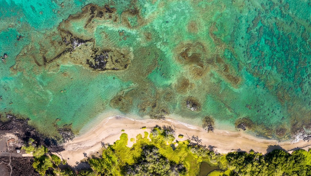 Kamuela, Hawaii, 96743, United States, ,Land,Forsale,1972210