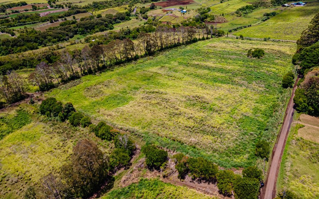 Pepeekeo, Hawaii, 96783, United States, ,Residential,Forsale,1989843