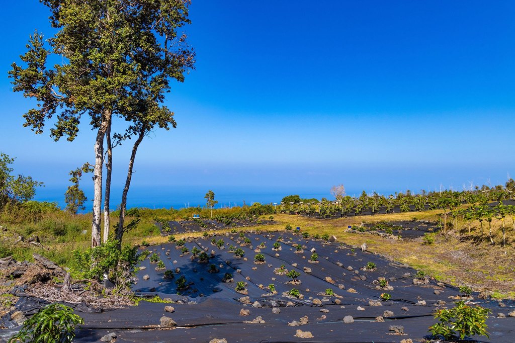 Captain Cook, Hawaii, 96704, United States, ,Land,Forsale,1886666