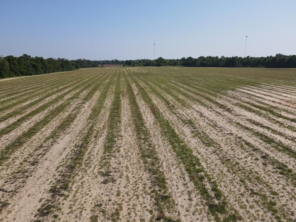 Donalsonville, Georgia, 39845, United States, ,Commercial,Forsale,1946735