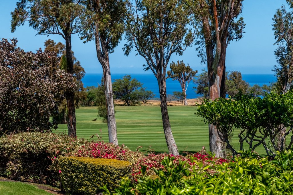 Waikoloa, Hawaii, 96738, United States, 2 Bedrooms Bedrooms, ,2 BathroomsBathrooms,Residential,Forsale,1886620