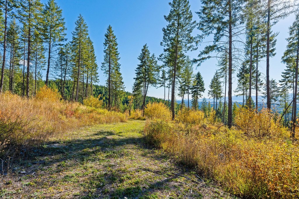 Kalispell, Montana, 59901, United States, 8 Bedrooms Bedrooms, ,3 BathroomsBathrooms,Residential,Forsale,1894894