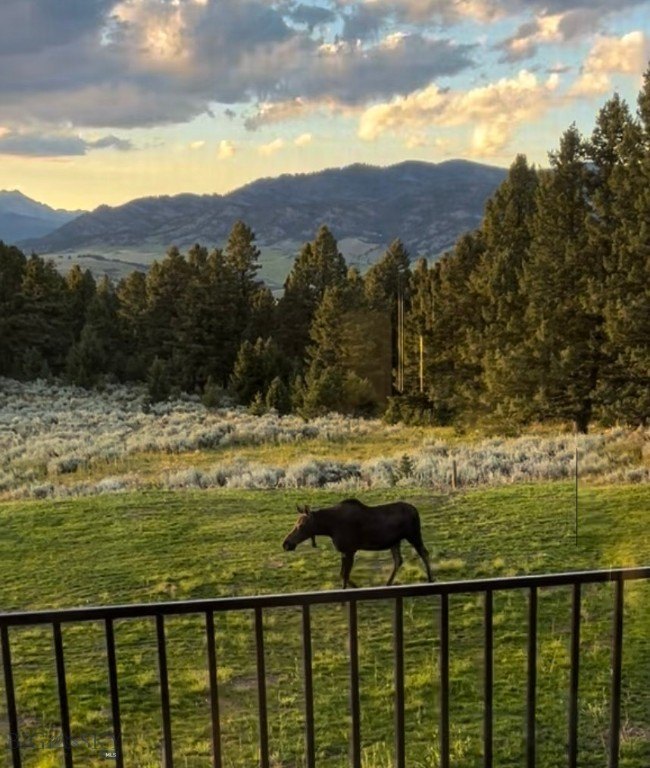 Bozeman, Montana, 59715, United States, 4 Bedrooms Bedrooms, ,4.5 BathroomsBathrooms,Residential,Forsale,1894944