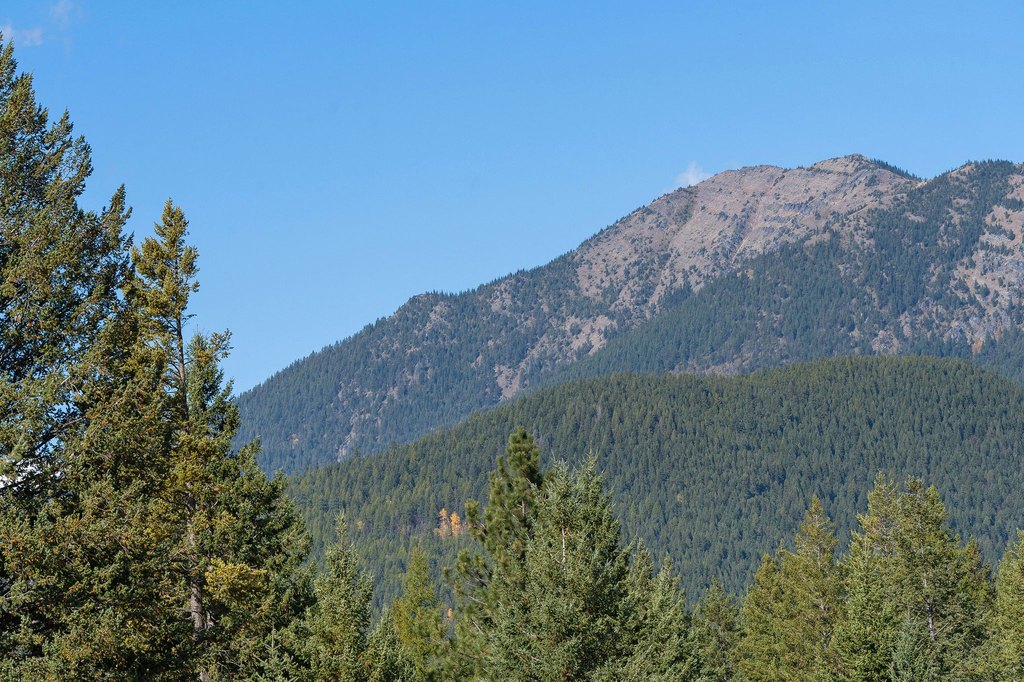 Kalispell, Montana, 59901, United States, 8 Bedrooms Bedrooms, ,3 BathroomsBathrooms,Residential,Forsale,1894894