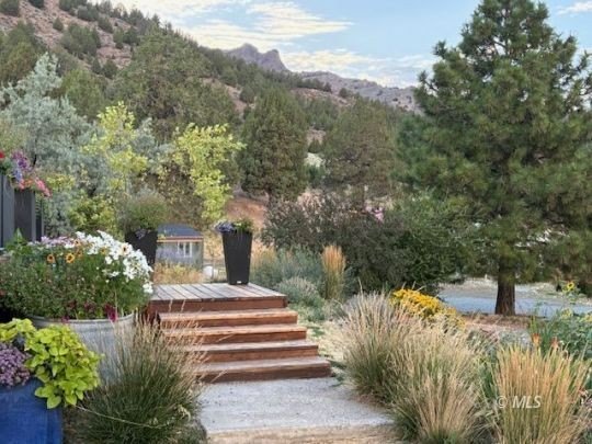 Cedarville, California, 96104, United States, 3 Bedrooms Bedrooms, ,2 BathroomsBathrooms,Residential,Forsale,1888852