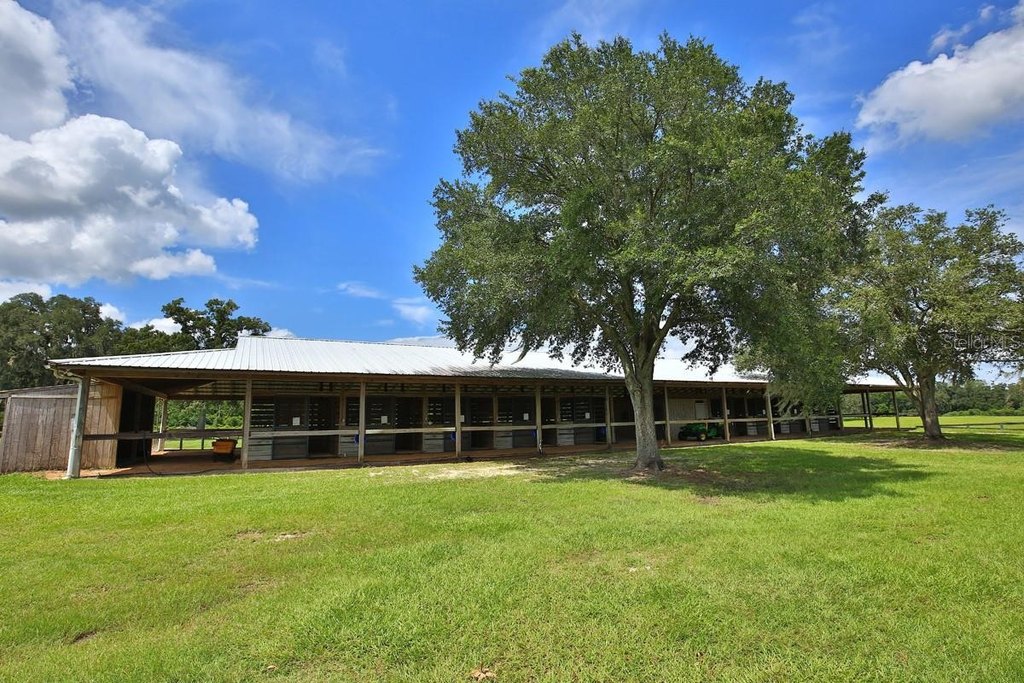 OCALA, Florida, 34481, United States, 8 Bedrooms Bedrooms, ,4 BathroomsBathrooms,Residential,Forsale,1944499