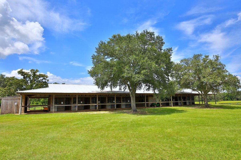 OCALA, Florida, 34481, United States, 8 Bedrooms Bedrooms, ,4 BathroomsBathrooms,Residential,Forsale,1944499