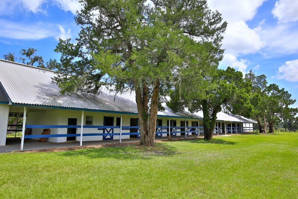 OCALA, Florida, 34481, United States, 8 Bedrooms Bedrooms, ,4 BathroomsBathrooms,Residential,Forsale,1944499