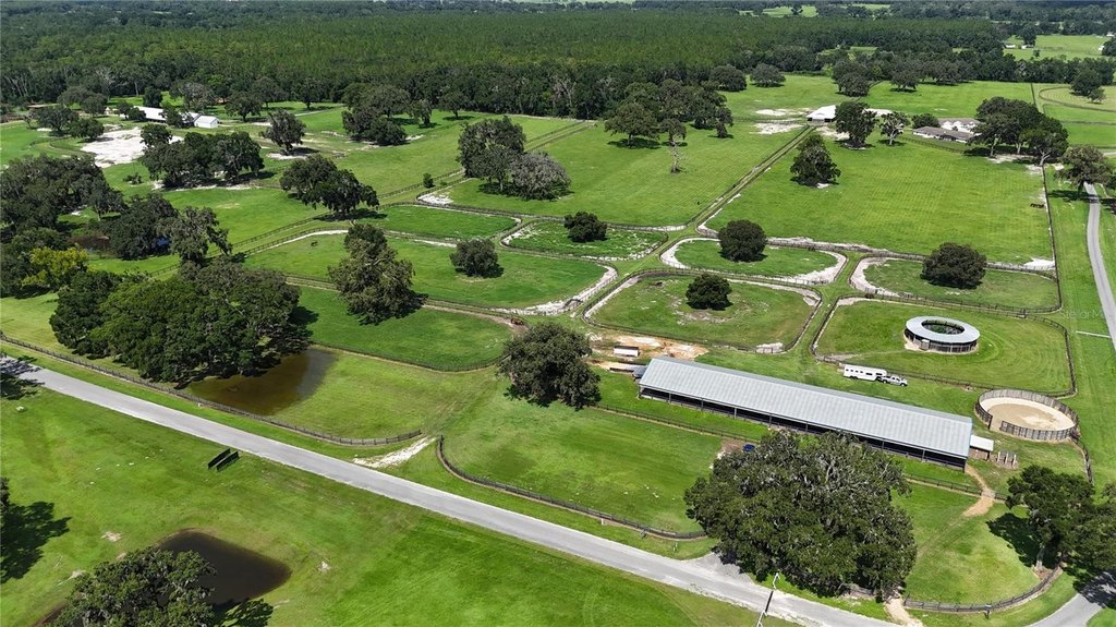 OCALA, Florida, 34481, United States, 8 Bedrooms Bedrooms, ,4 BathroomsBathrooms,Residential,Forsale,1944499