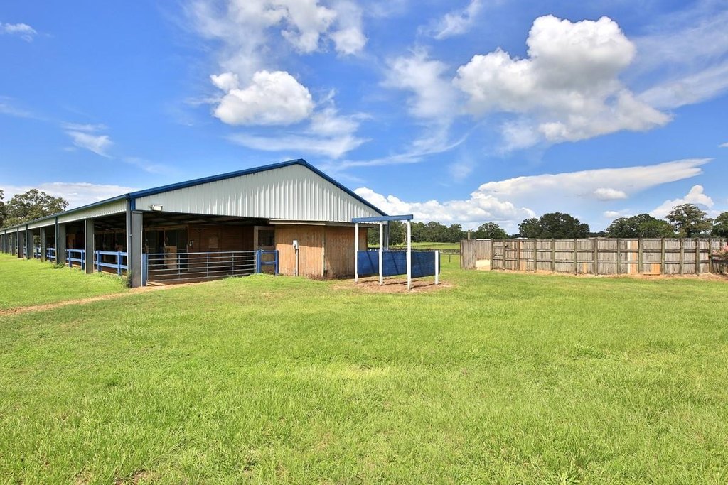 OCALA, Florida, 34481, United States, 8 Bedrooms Bedrooms, ,4 BathroomsBathrooms,Residential,Forsale,1944499