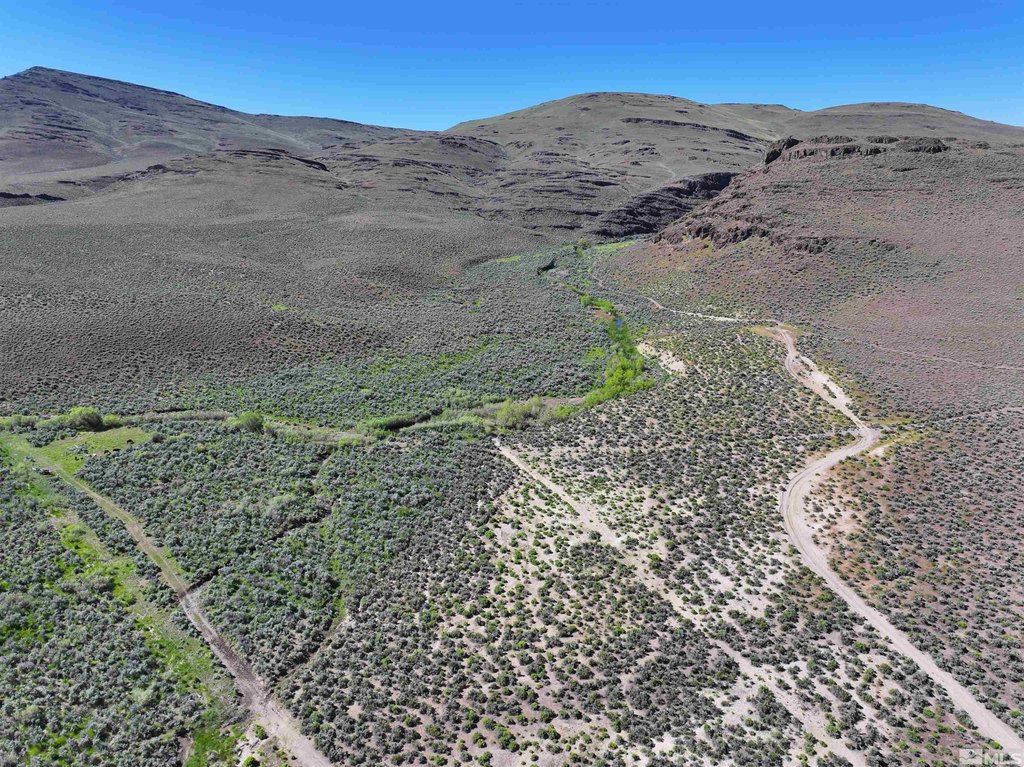 Gerlach, Nevada, 89412, United States, ,Residential,Forsale,1910341