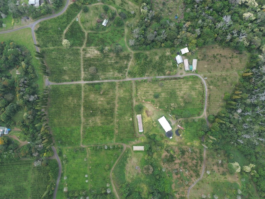 Holualoa, Hawaii, 96725, United States, 3 Bedrooms Bedrooms, ,3 BathroomsBathrooms,Residential,Forsale,1953860